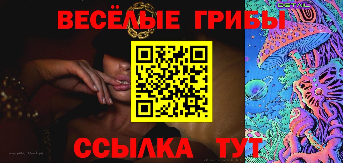 Псилоцибиновые грибы Psilocybe Канаш