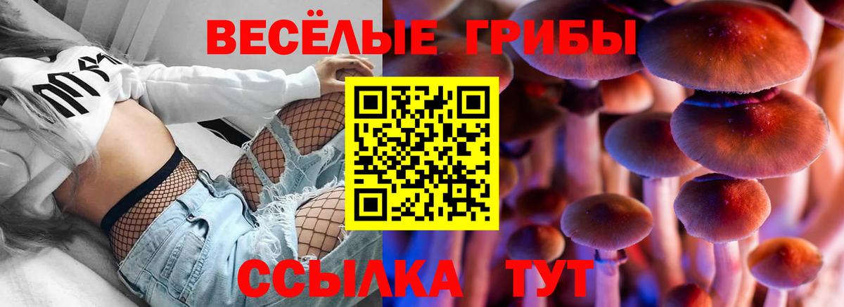 Псилоцибиновые грибы Psilocybe  Галлюциногенные грибы мицелий  где продают   Канаш  Вход с VPN 